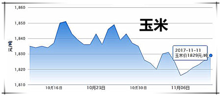 11月12日猪评：气温再下降，市场需求回升，猪价略有回温