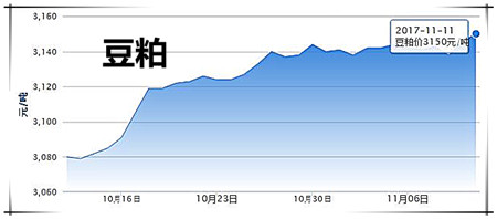 11月12日猪评：气温再下降，市场需求回升，猪价略有回温