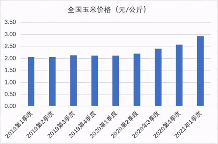 中国养猪网