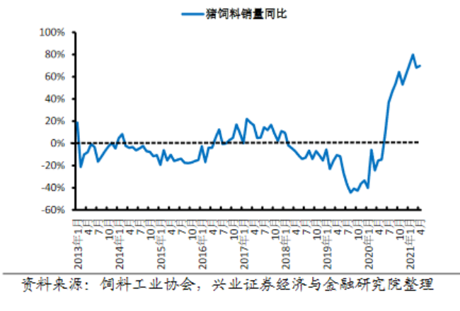 中国养猪网